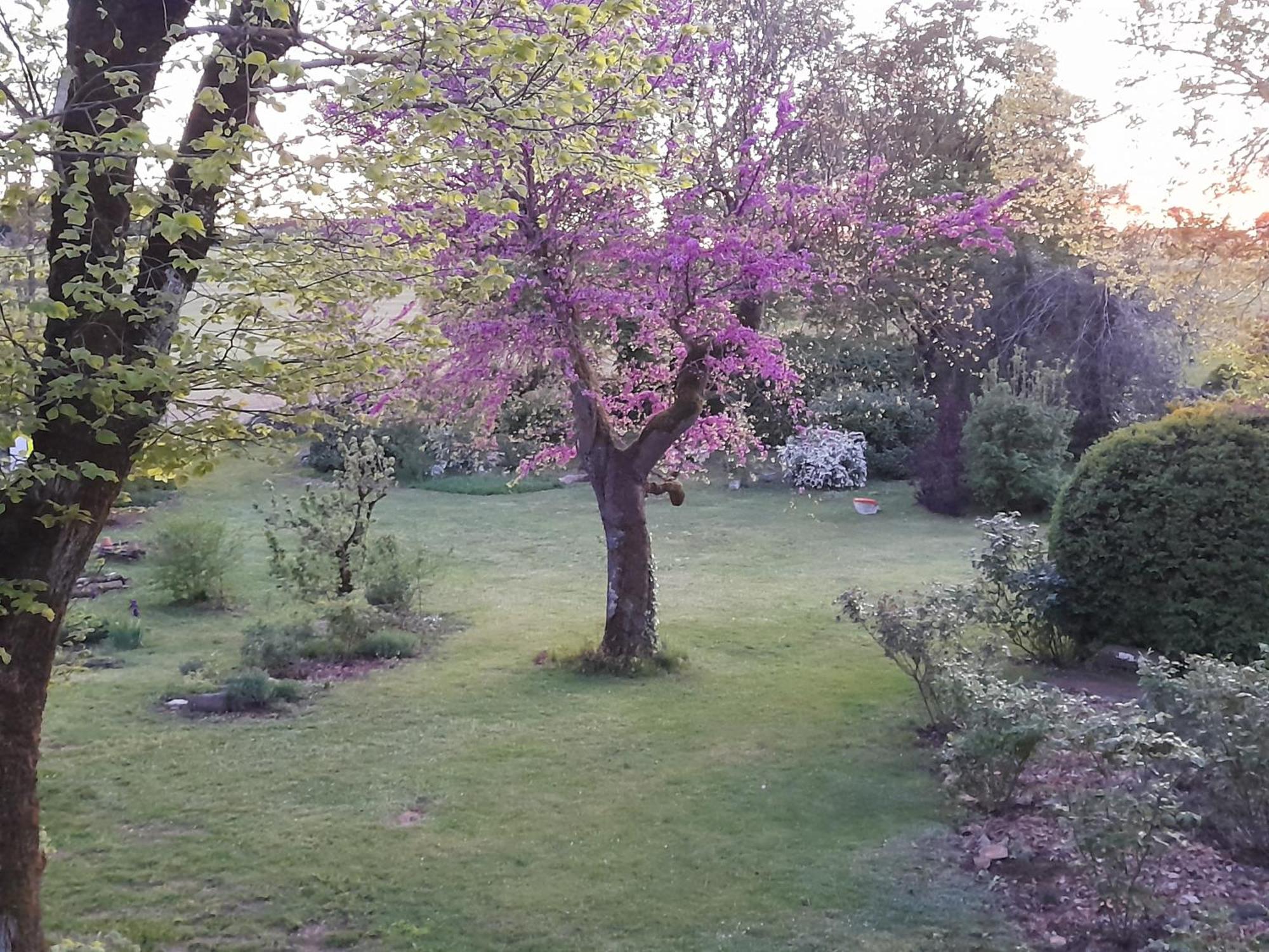La Causserie, 2 Chambres D'Hotes, 2 A 4 Invites, Pour Vous Seuls Gramat Exterior foto